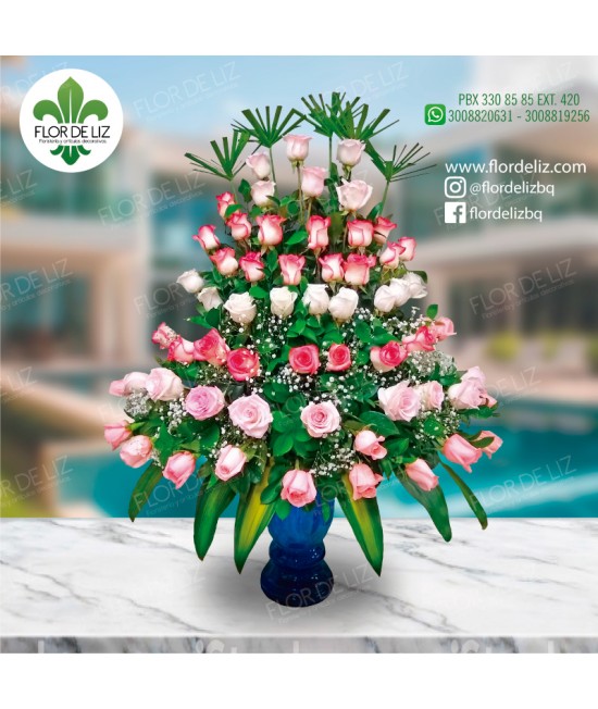 ROSAS RADIANTES ROSAS RADIANTES